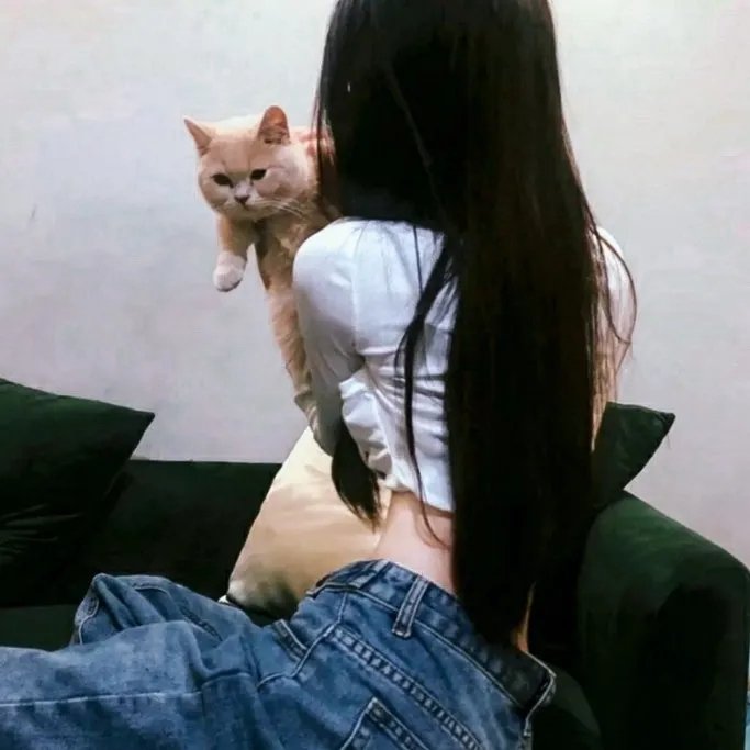 忧郁的解药